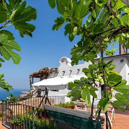 Estate4home - Villamia * 马萨鲁布朗斯
